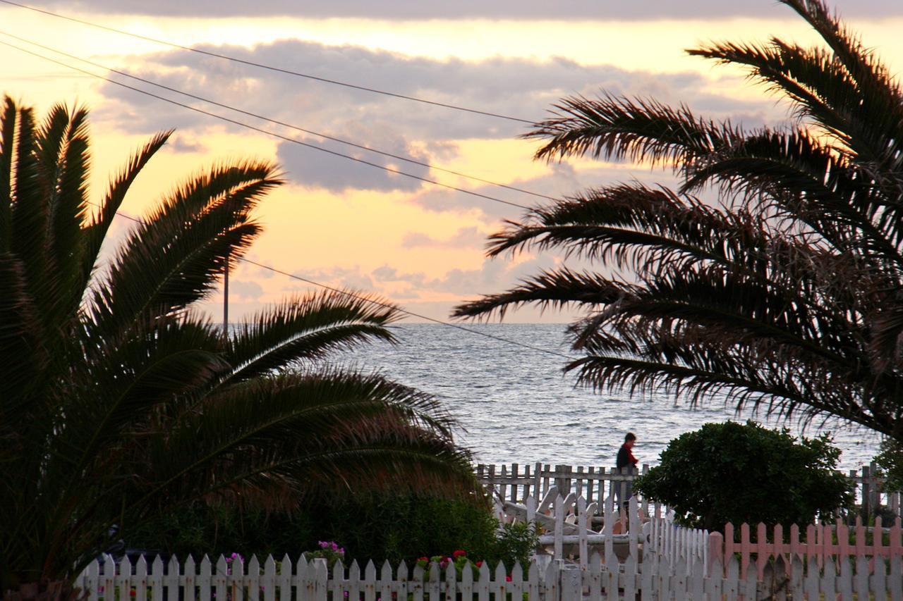 Afribode'S Adenium Beachfront Apartment Cape Town Exterior photo
